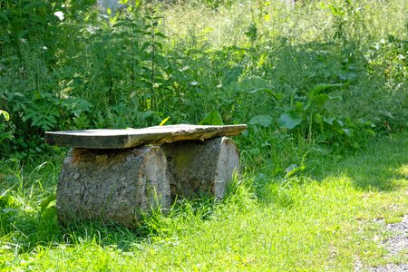 Bank bench wood photo