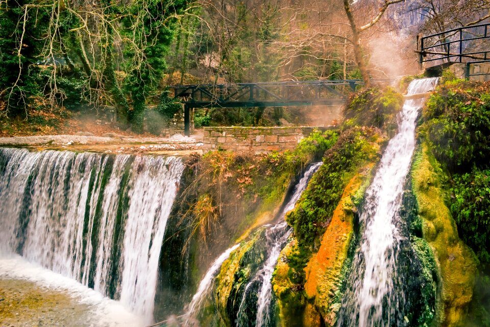 Forest water landscape photo