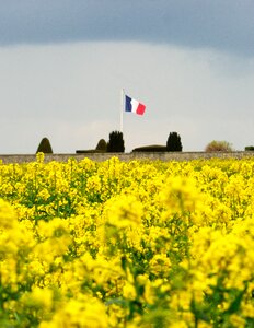 Commemoration tribute france