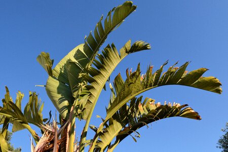 Summer mediterranean sky