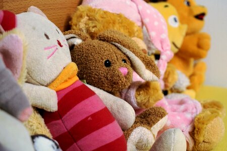Toys teddy soft