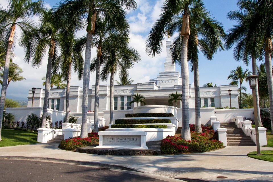 Religious mormon palm