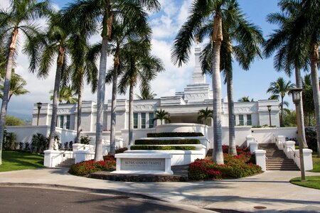Religious mormon palm