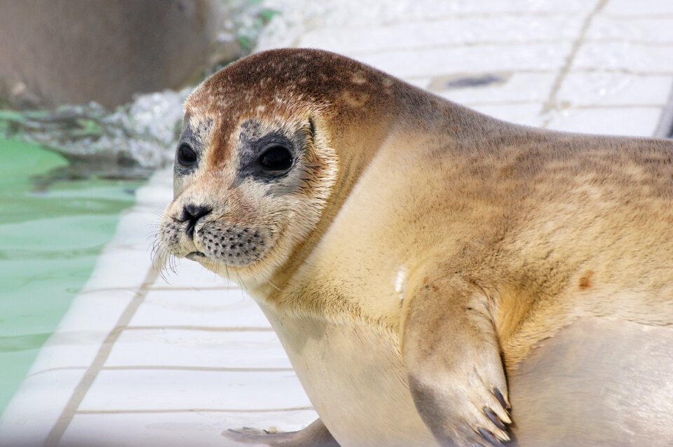 Netherlands coast sanctuary