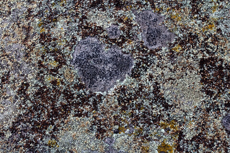 Texture wall weathered