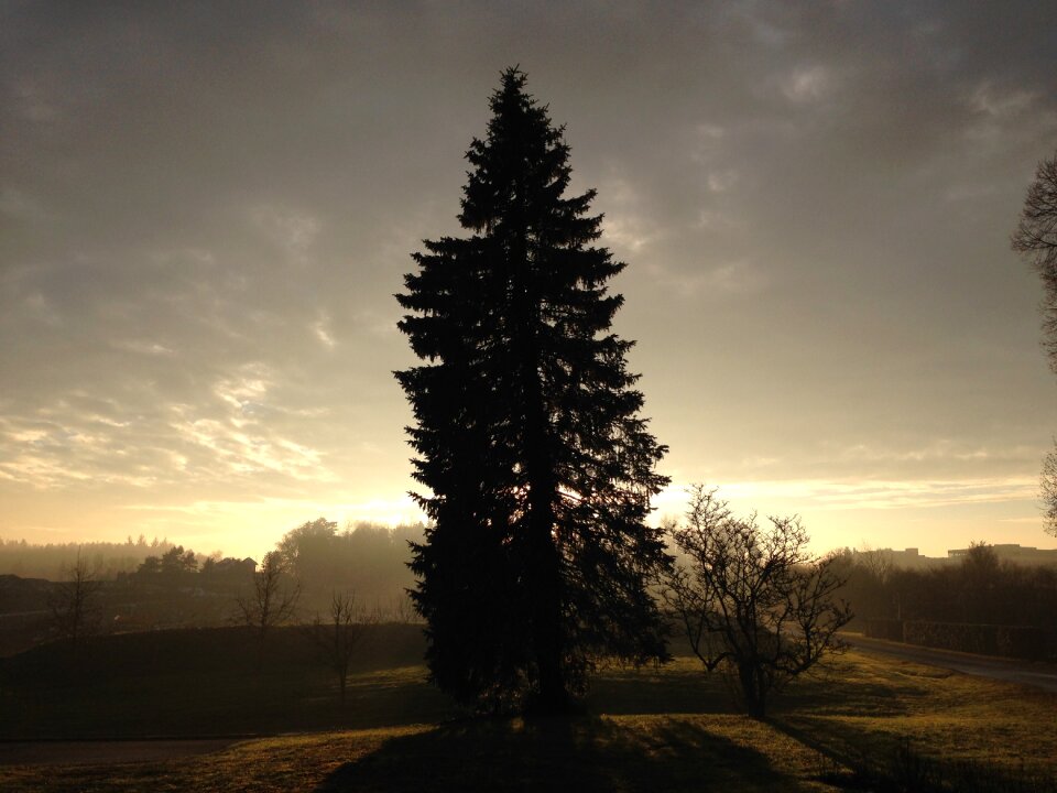 Dusk silhouette evening sky