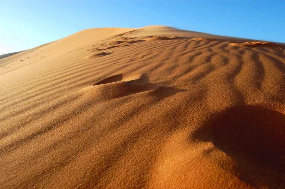 The sand dunes traces steps
