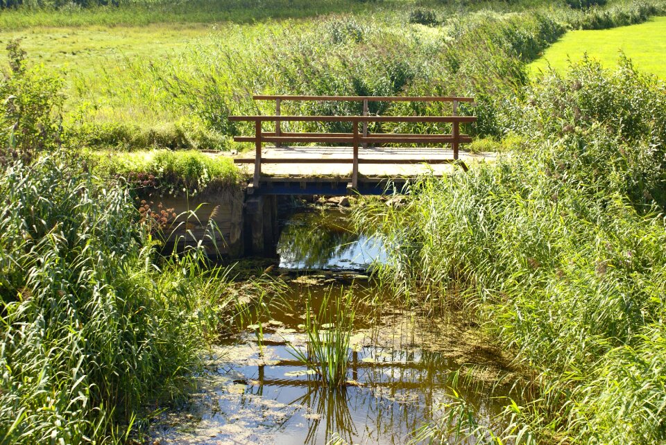 Lane scrubs wooden bridge