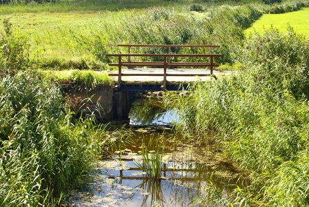 Lane scrubs wooden bridge