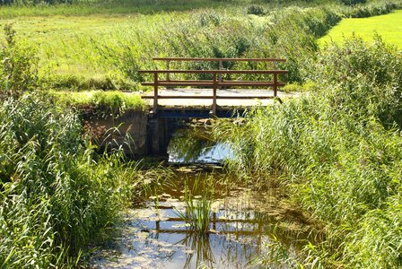 Lane scrubs wooden bridge photo