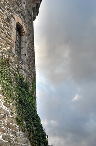 Old tower rustic english ivy photo