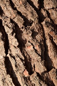 Structure texture rauh