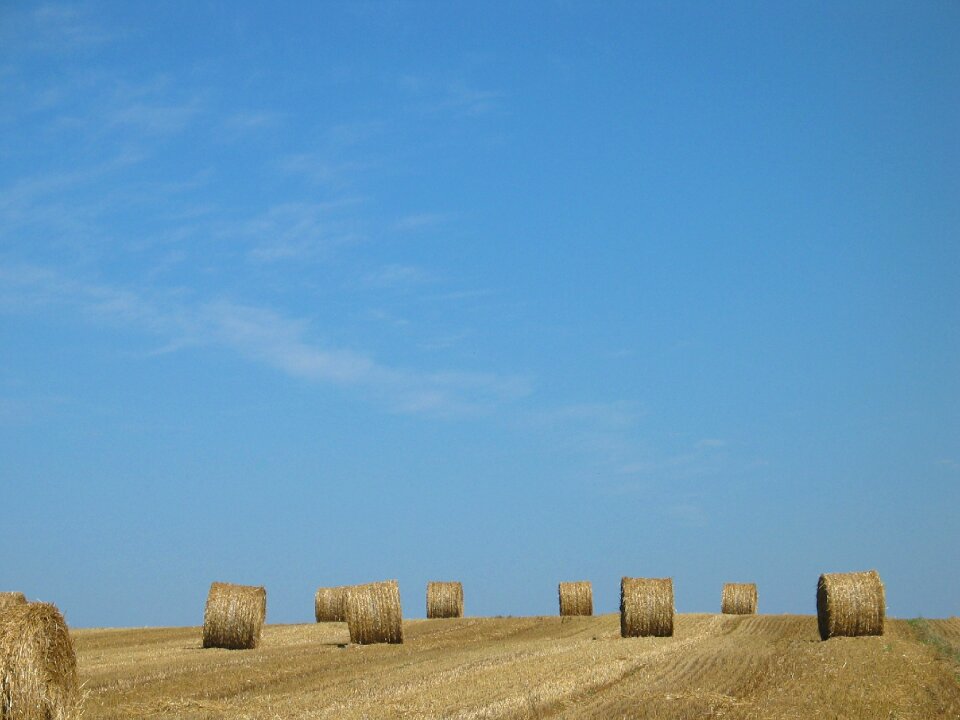 Harvest agricultural brown