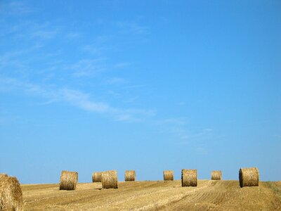 Harvest agricultural brown