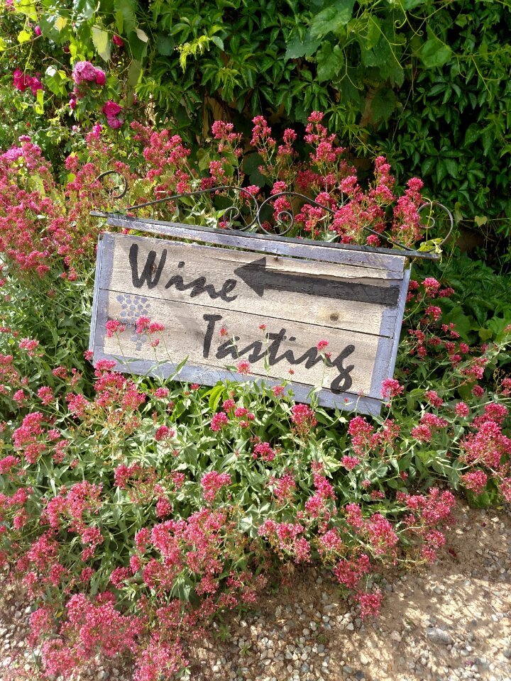 Wine tasting garden