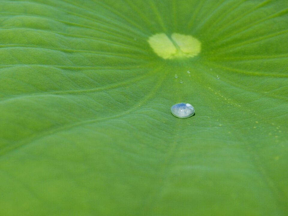 Structure raindrop transparent
