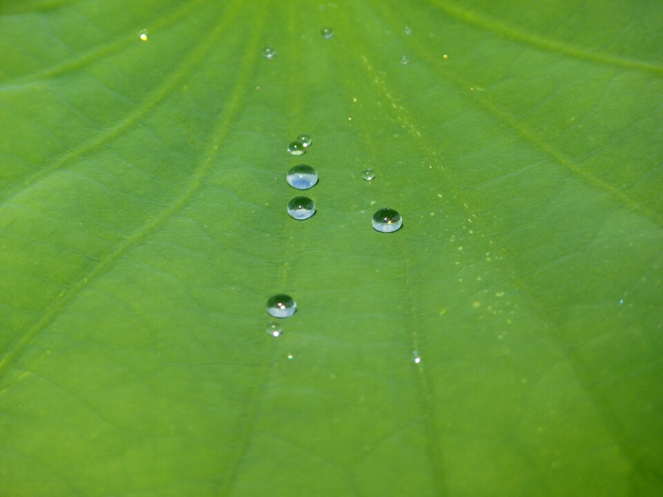 Structure raindrop transparent