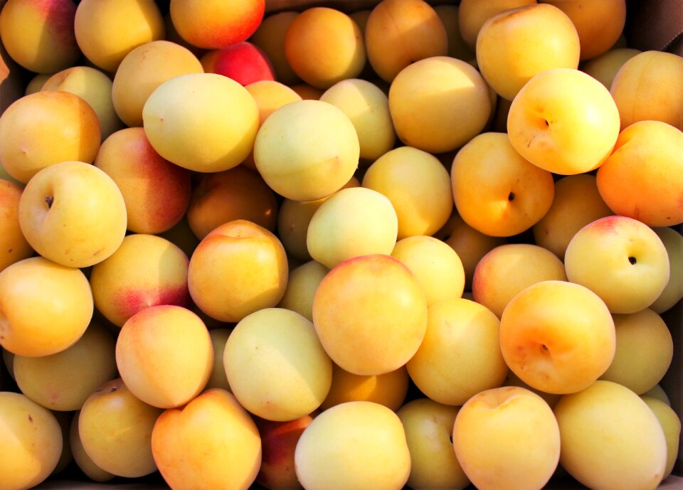 Dried plum pickles yellow