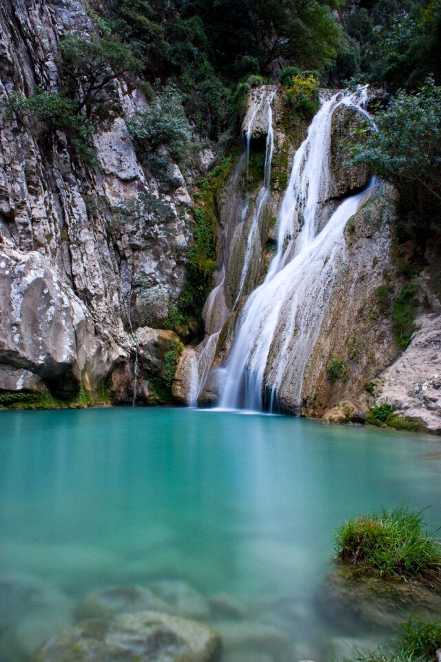 Landscape natural forest