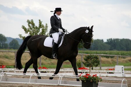 Lifestyle jockey