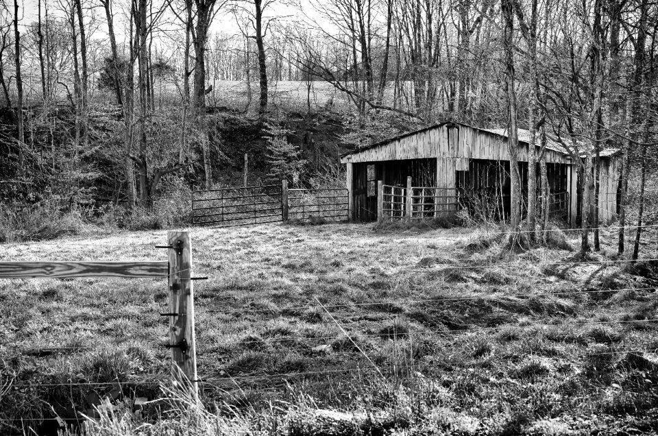 Rural landscape barn