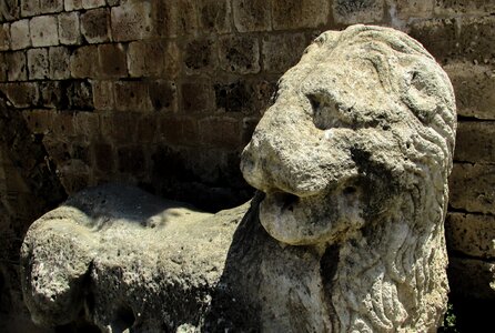 Fortress medieval lion photo
