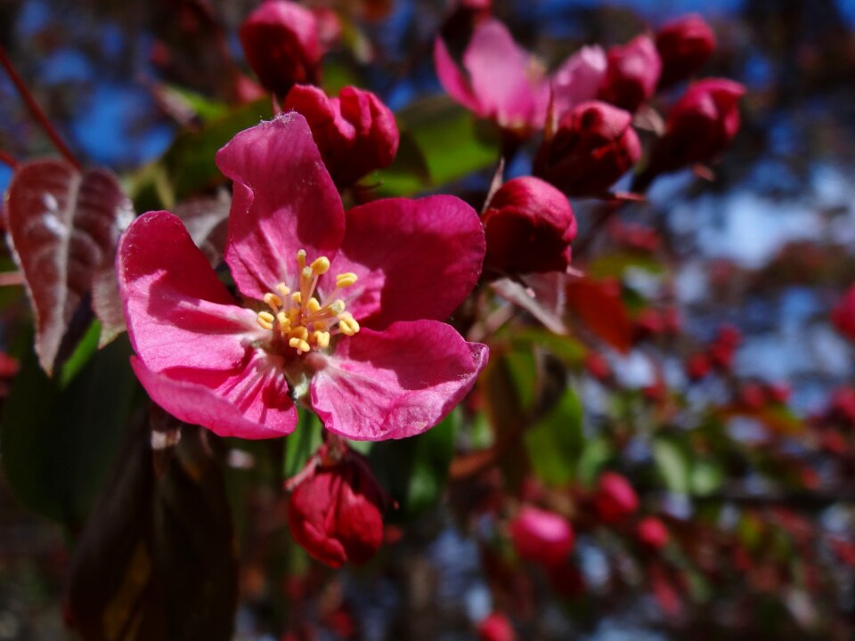 Spring nature season