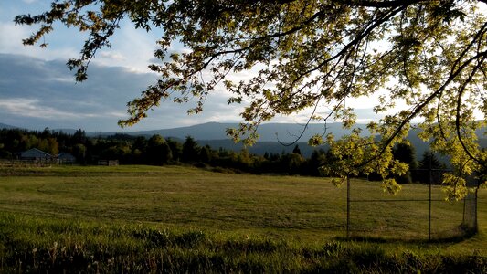 Summer outdoors nature