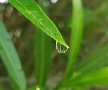 Wet water droplet