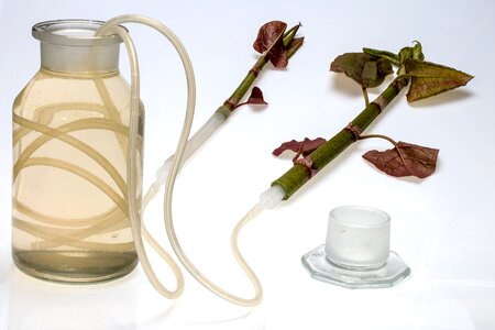 Water supply hose cut glass bottle