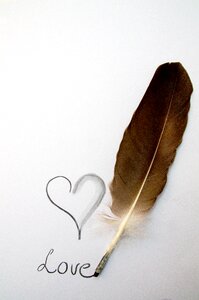 Heart feather charcoal drawing photo