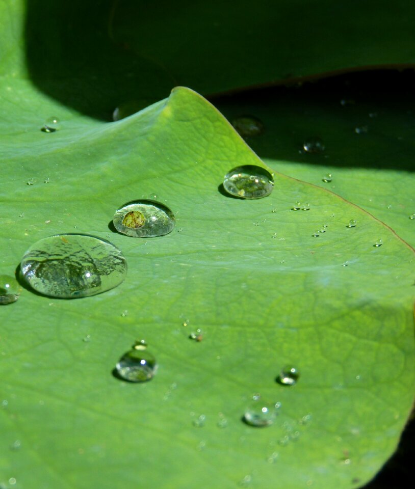 Structure raindrop transparent