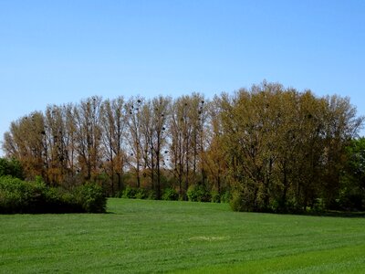 Spring monheim am rhein dike