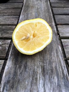 Yellow sour half