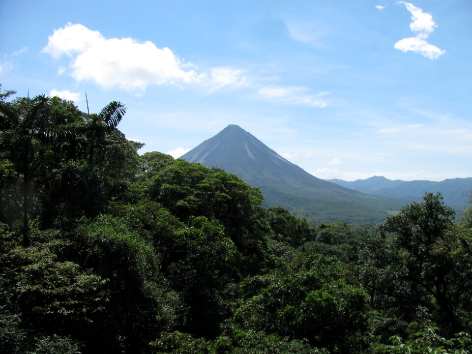 Hiking rain forest forest