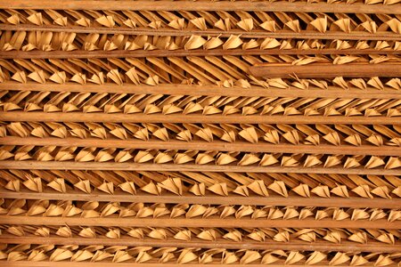 Straw texture dry straw straw