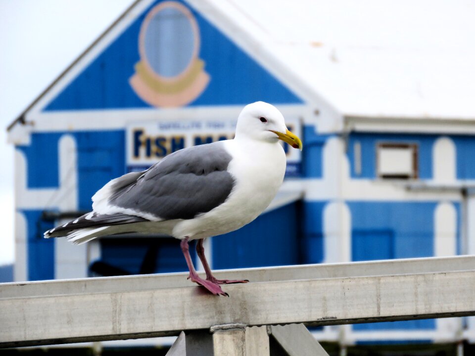 Harbour marine harbor