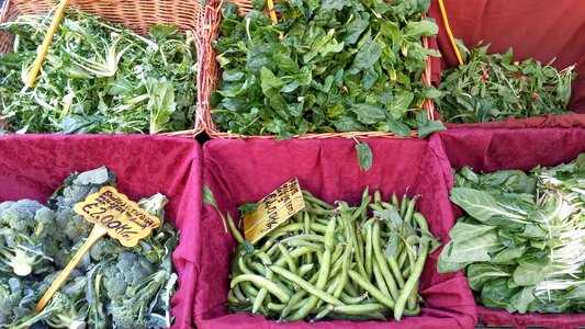 Vegetables beans food