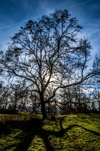 Autumn sun nature photo