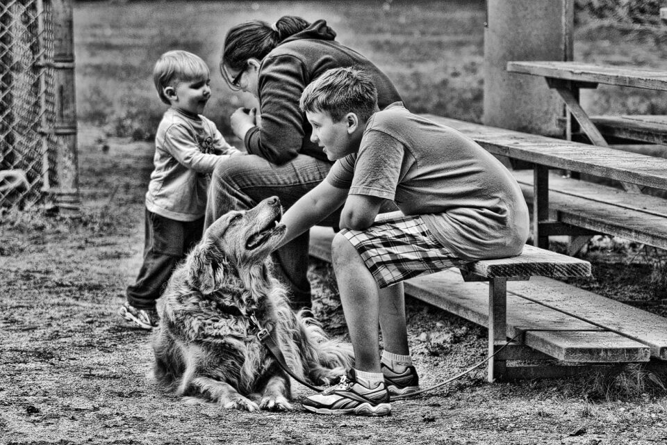 Pets outdoors