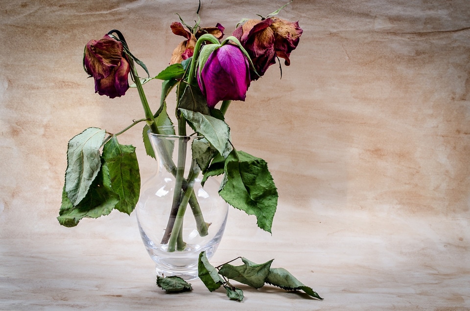 Rose death decoration