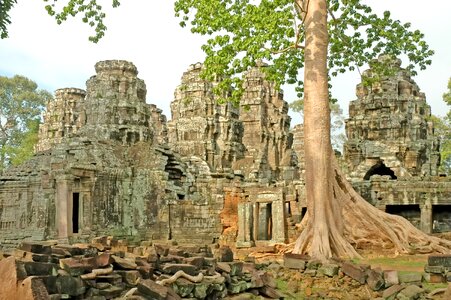 Angkor wat roots asia