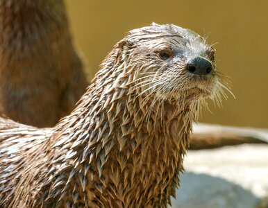 Zoo cute nature