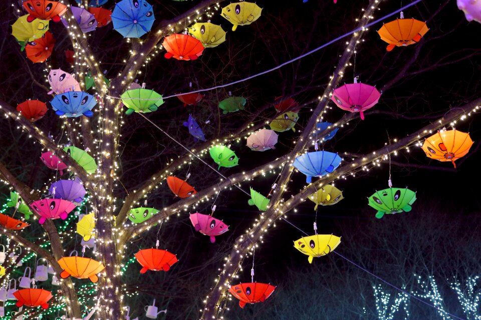 Outdoors light art