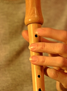 Musical instrument wood whistle photo