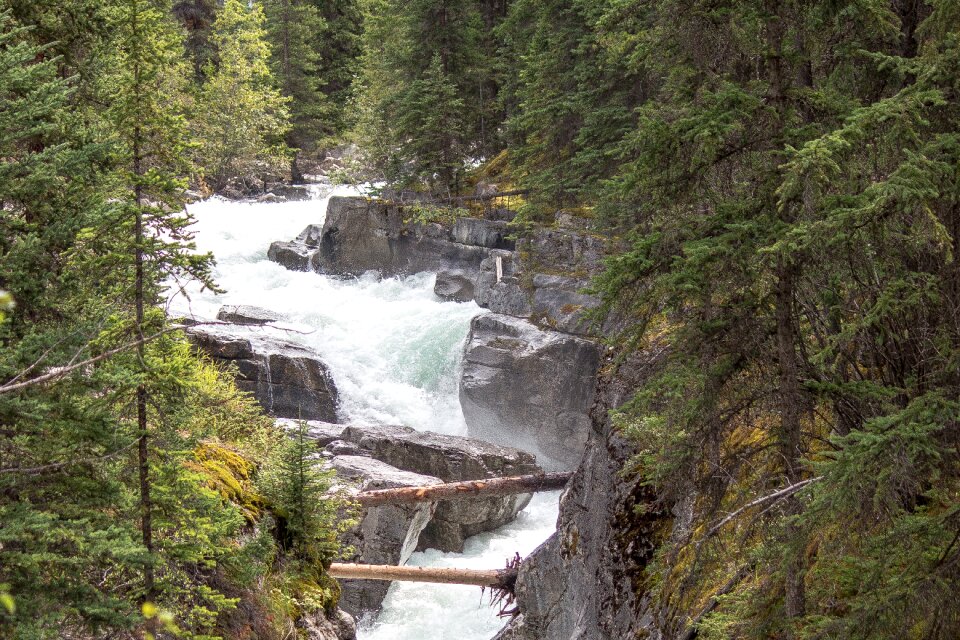 River jasper alberta photo