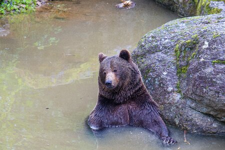 Nature park wild animal refreshment