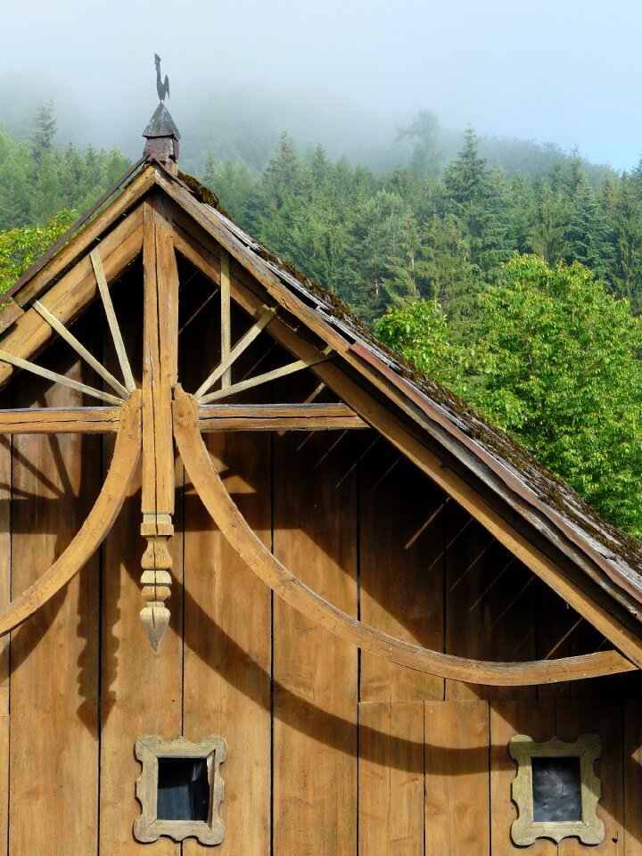 Old house forest wooden