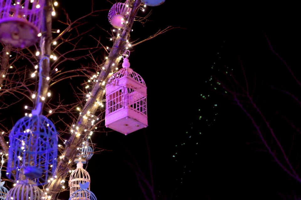 Outdoors light bird cage