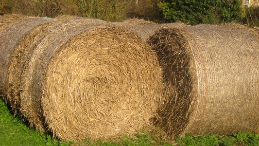 Rural farm agriculture